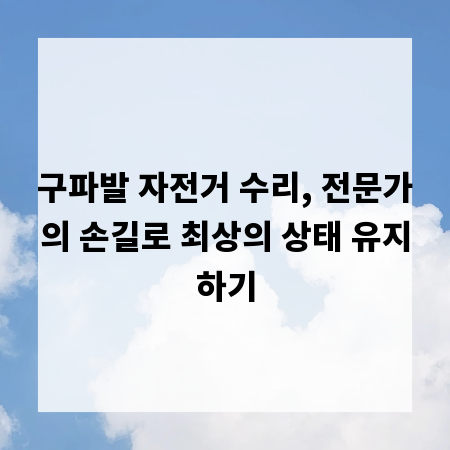 구파발 자전거 수리, 전문가의 손길로 최상의 상태 유지하기