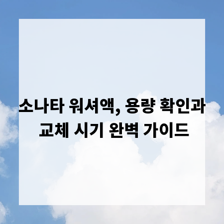 소나타 워셔액, 용량 확인과 교체 시기 완벽 가이드