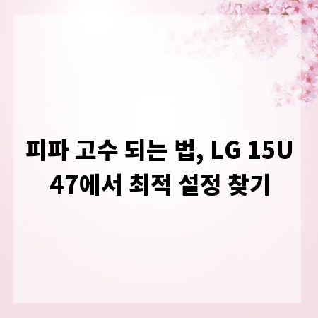 피파 고수 되는 법, LG 15U47에서 최적 설정 찾기