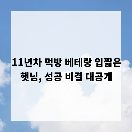 11년차 먹방 베테랑 입짧은햇님, 성공 비결 대공개