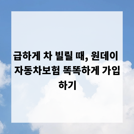 급하게 차 빌릴 때, 원데이 자동차보험 똑똑하게 가입하기