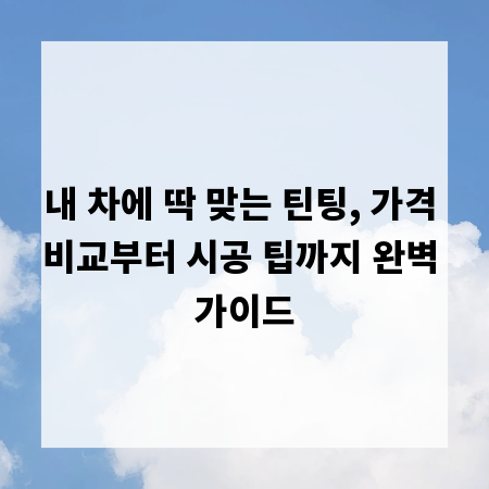 내 차에 딱 맞는 틴팅, 가격 비교부터 시공 팁까지 완벽 가이드