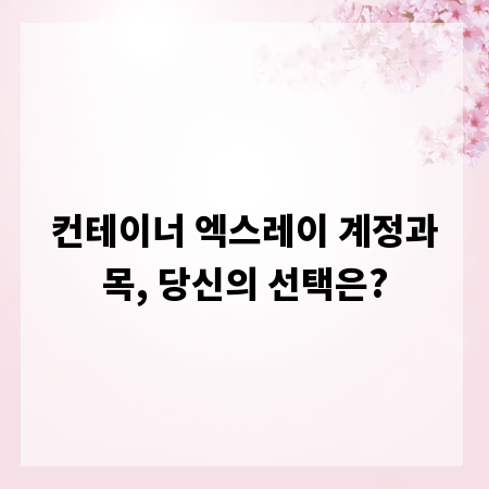 컨테이너 엑스레이 계정과목, 당신의 선택은?
