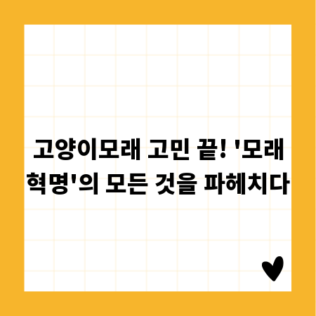 고양이모래 고민 끝! '모래혁명'의 모든 것을 파헤치다