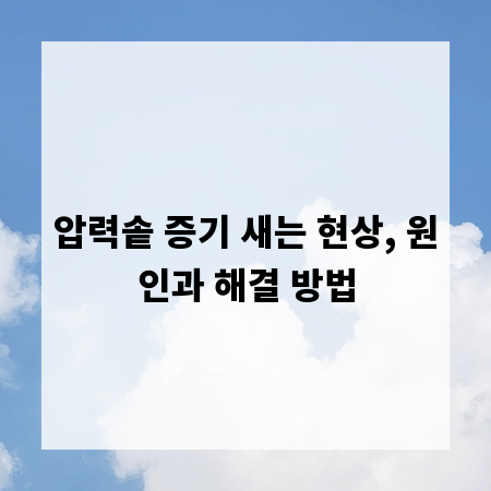 압력솥 증기 새는 현상, 원인과 해결 방법
