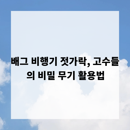배그 비행기 젓가락, 고수들의 비밀 무기 활용법