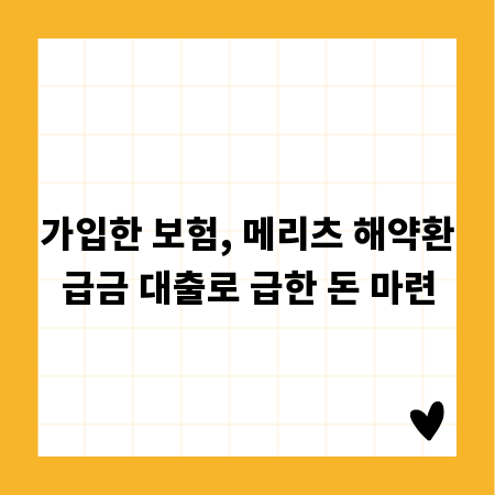 가입한 보험, 메리츠 해약환급금 대출로 급한 돈 마련