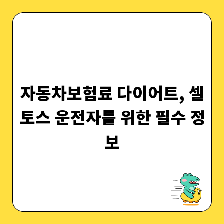 자동차보험료 다이어트, 셀토스 운전자를 위한 필수 정보