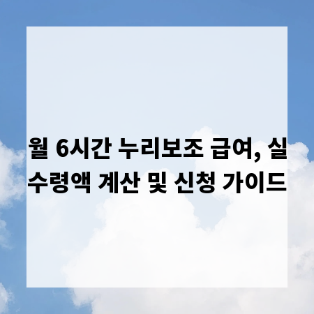 월 6시간 누리보조 급여, 실수령액 계산 및 신청 가이드