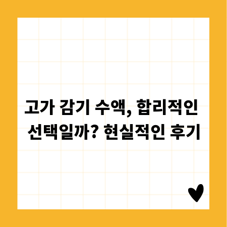 고가 감기 수액, 합리적인 선택일까? 현실적인 후기