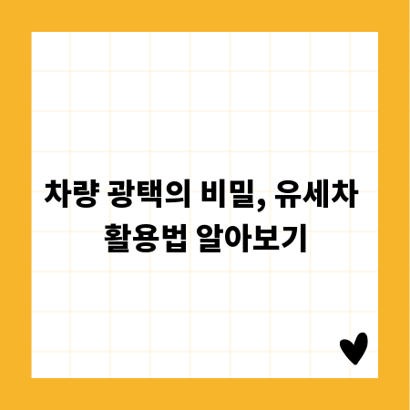 렌트카 블랙박스 리셋, 이것만 알면 시간 절약 끝