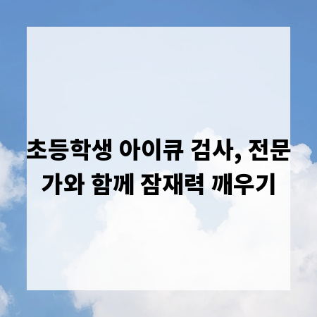 초등학생 아이큐 검사, 전문가와 함께 잠재력 깨우기