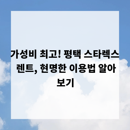 가성비 최고! 평택 스타렉스 렌트, 현명한 이용법 알아보기