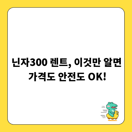 닌자300 렌트, 이것만 알면 가격도 안전도 OK!