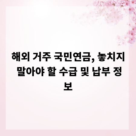 해외 거주 국민연금, 놓치지 말아야 할 수급 및 납부 정보
