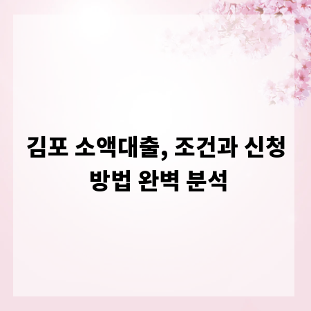 김포 소액대출, 조건과 신청 방법 완벽 분석