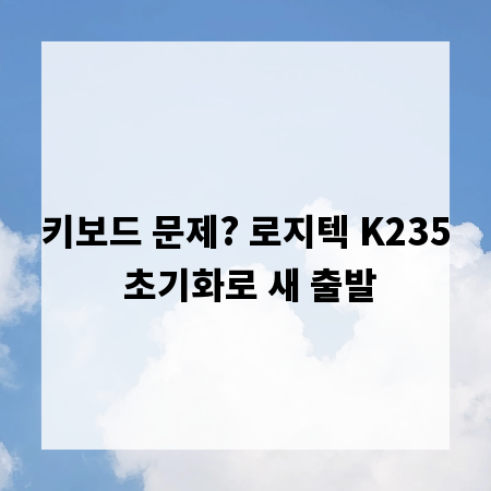 키보드 문제? 로지텍 K235 초기화로 새 출발