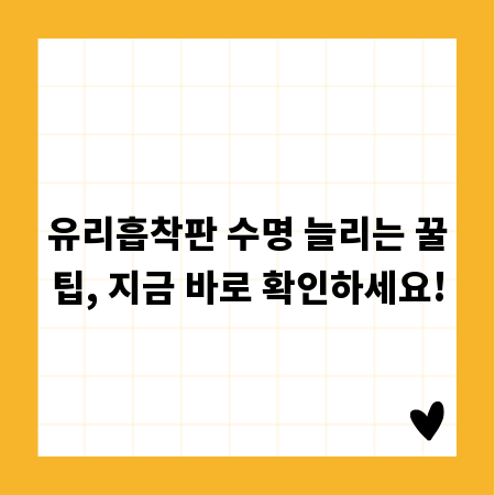 그래머멘토조이1 만점 비법, 지금 바로 확인하세요!