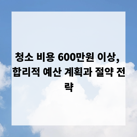 청소 비용 600만원 이상, 합리적 예산 계획과 절약 전략