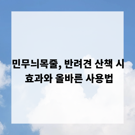 민무늬목줄, 반려견 산책 시 효과와 올바른 사용법