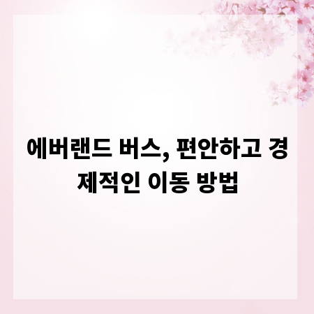 에버랜드 버스, 편안하고 경제적인 이동 방법