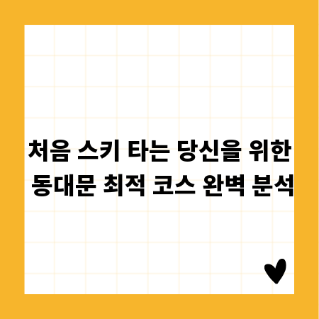 처음 스키 타는 당신을 위한 동대문 최적 코스 완벽 분석
