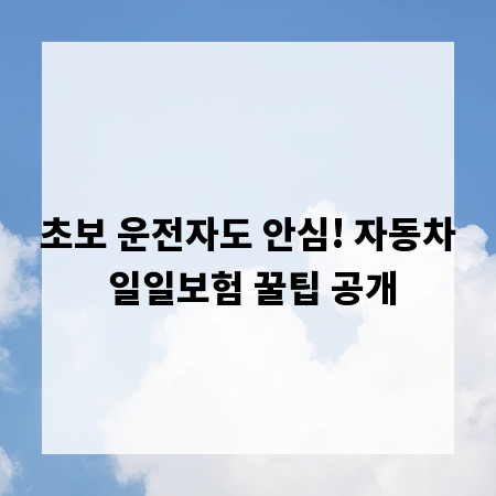 초보 운전자도 안심! 자동차 일일보험 꿀팁 공개