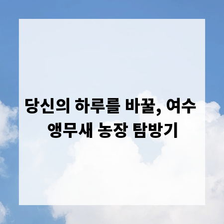 당신의 하루를 바꿀, 여수 앵무새 농장 탐방기