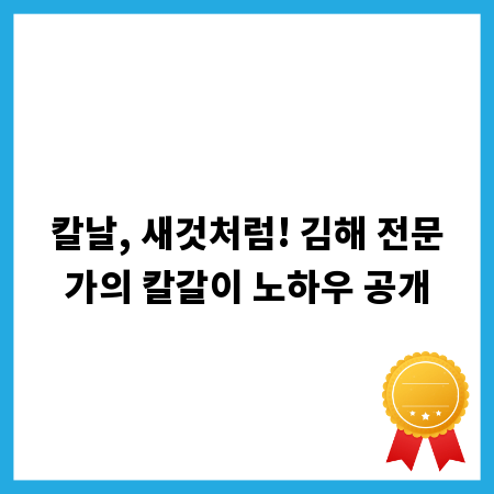칼날, 새것처럼! 김해 전문가의 칼갈이 노하우 공개