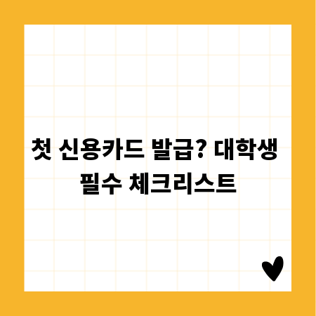 첫 신용카드 발급? 대학생 필수 체크리스트