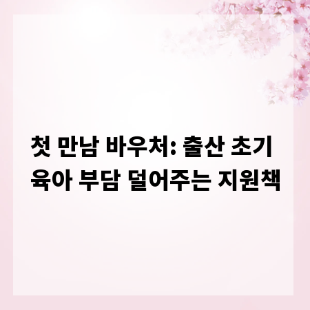 첫 만남 바우처: 출산 초기 육아 부담 덜어주는 지원책