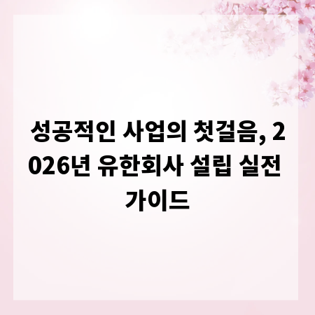 성공적인 사업의 첫걸음, 2026년 유한회사 설립 실전 가이드