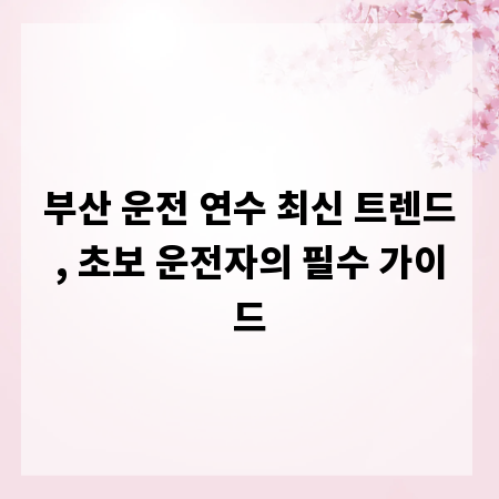 부산 운전 연수 최신 트렌드, 초보 운전자의 필수 가이드