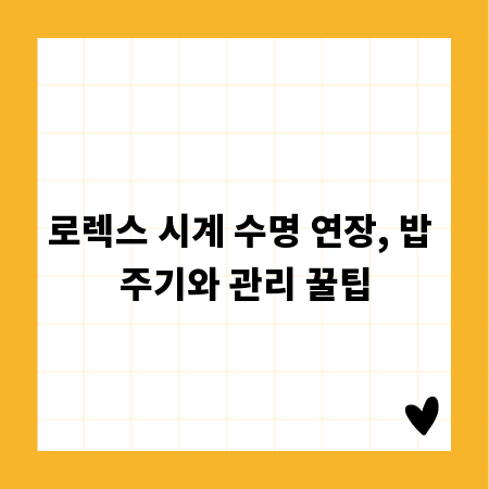 로렉스 시계 수명 연장, 밥 주기와 관리 꿀팁