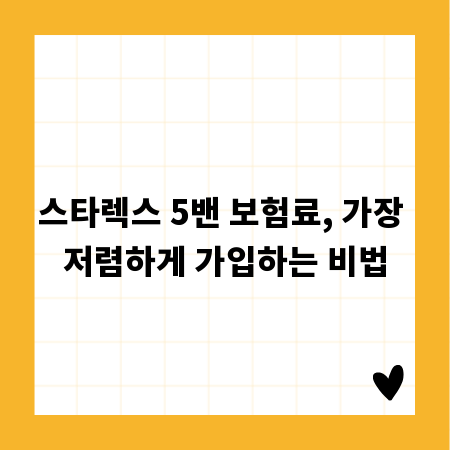 스타렉스 5밴 보험료, 가장 저렴하게 가입하는 비법