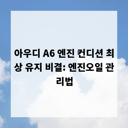아우디 A6 엔진 컨디션 최상 유지 비결: 엔진오일 관리법