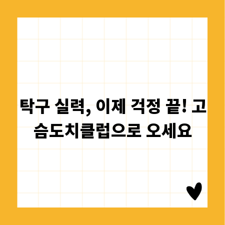 탁구 실력, 이제 걱정 끝! 고슴도치클럽으로 오세요
