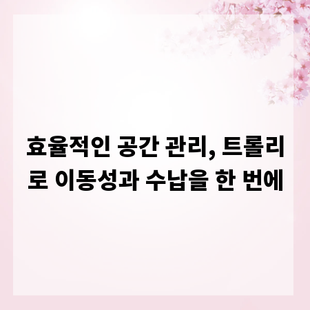 효율적인 공간 관리, 트롤리로 이동성과 수납을 한 번에