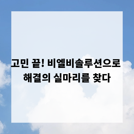 고민 끝! 비엘비솔루션으로 해결의 실마리를 찾다