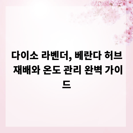 다이소 라벤더, 베란다 허브 재배와 온도 관리 완벽 가이드