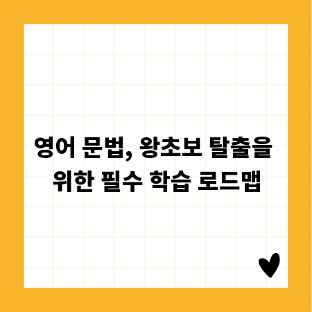 충치 걱정 끝! 현대카드 충치보험 혜택 꼼꼼히 알아보기