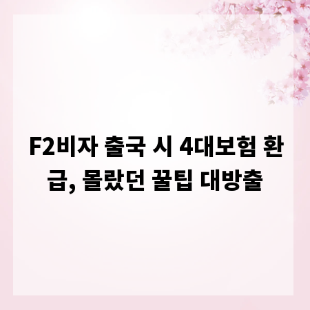 F2비자 출국 시 4대보험 환급, 몰랐던 꿀팁 대방출