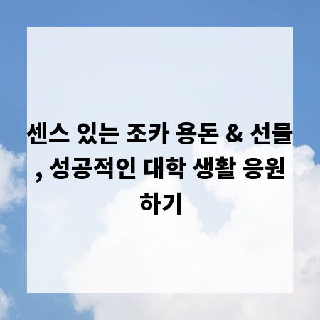 센스 있는 조카 용돈 & 선물, 성공적인 대학 생활 응원하기