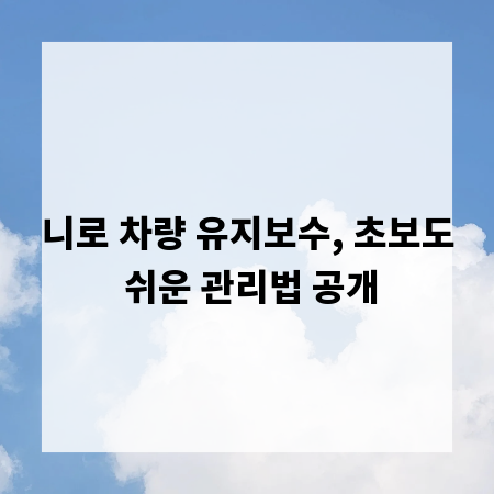 니로 차량 유지보수, 초보도 쉬운 관리법 공개
