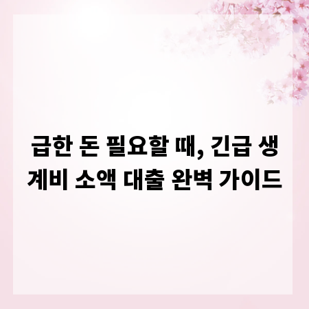 급한 돈 필요할 때, 긴급 생계비 소액 대출 완벽 가이드