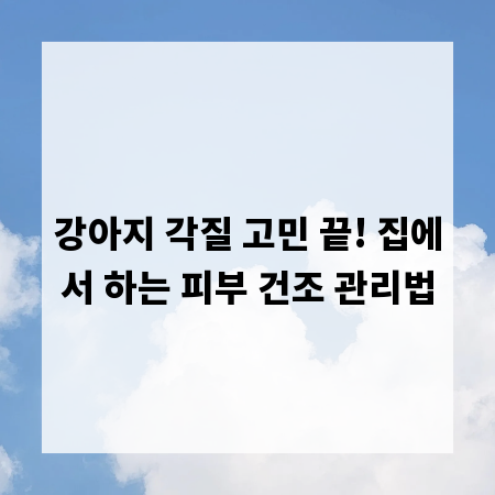 강아지 각질 고민 끝! 집에서 하는 피부 건조 관리법