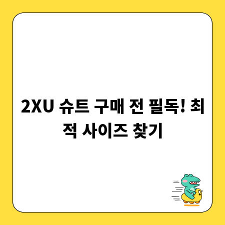2XU 슈트 구매 전 필독! 최적 사이즈 찾기