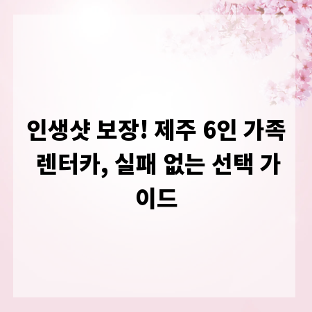 인생샷 보장! 제주 6인 가족 렌터카, 실패 없는 선택 가이드