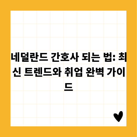네덜란드 간호사 되는 법: 최신 트렌드와 취업 완벽 가이드