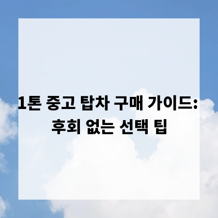 1톤 중고 탑차 구매 가이드: 후회 없는 선택 팁